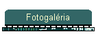 Gal�ria