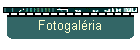 Fotogaléria