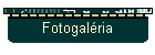 Fotogal�ria
