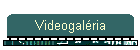 Videogal�ria