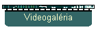 Videogaléria