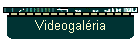 Videogal�ria